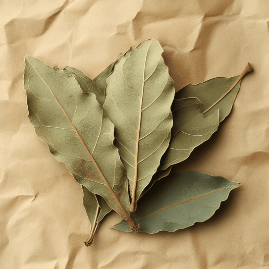 Organic Bay Leaves – 20g, 50g, 100g, 500g | SpiceBloom - Spice Bloom