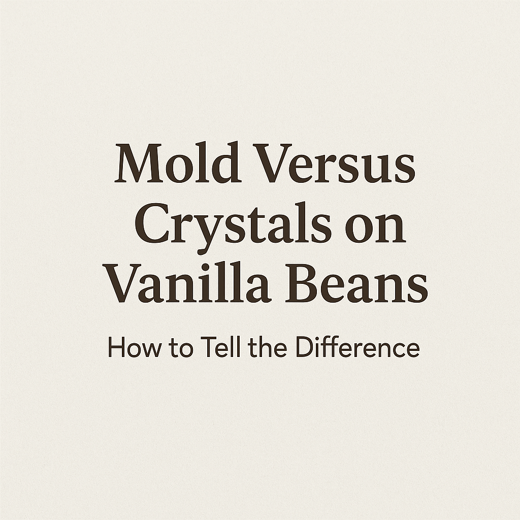 Is It Mould or Vanillin Crystals? How to Identify High-Quality Vanilla Beans - Spice Bloom
