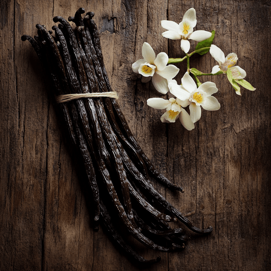 Organic Vanilla Bean Pods| A - Grade 12cm+ | Premium Indonesian Beans - Spice Bloom