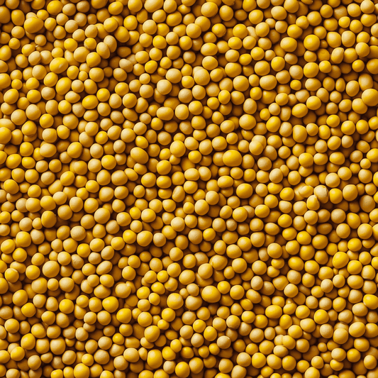 Organic Yellow Mustard Seeds – 100g, 500g, 1kg | SpiceBloom - Spice Bloom