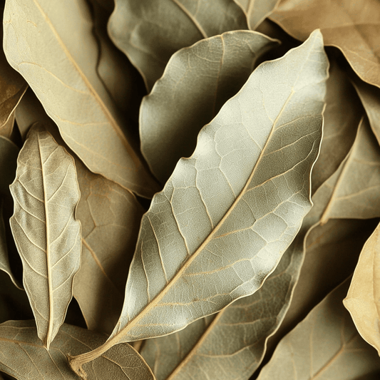 Premium Bay Leaves – 20g, 100g | SpiceBloom - Spice Bloom